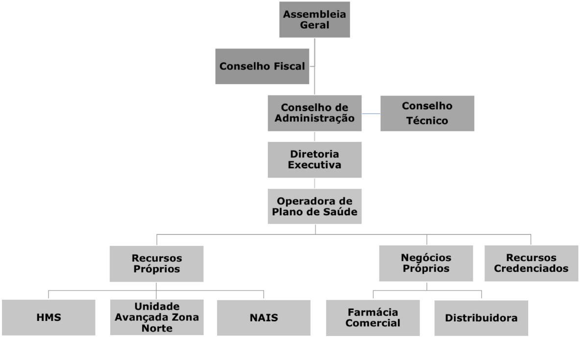 Organograma Estrutural - Governança