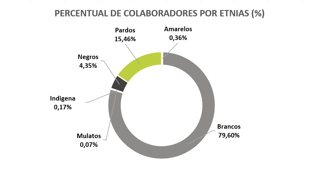 Gráfico Percentual de Colaboradores Por Etnias (%)